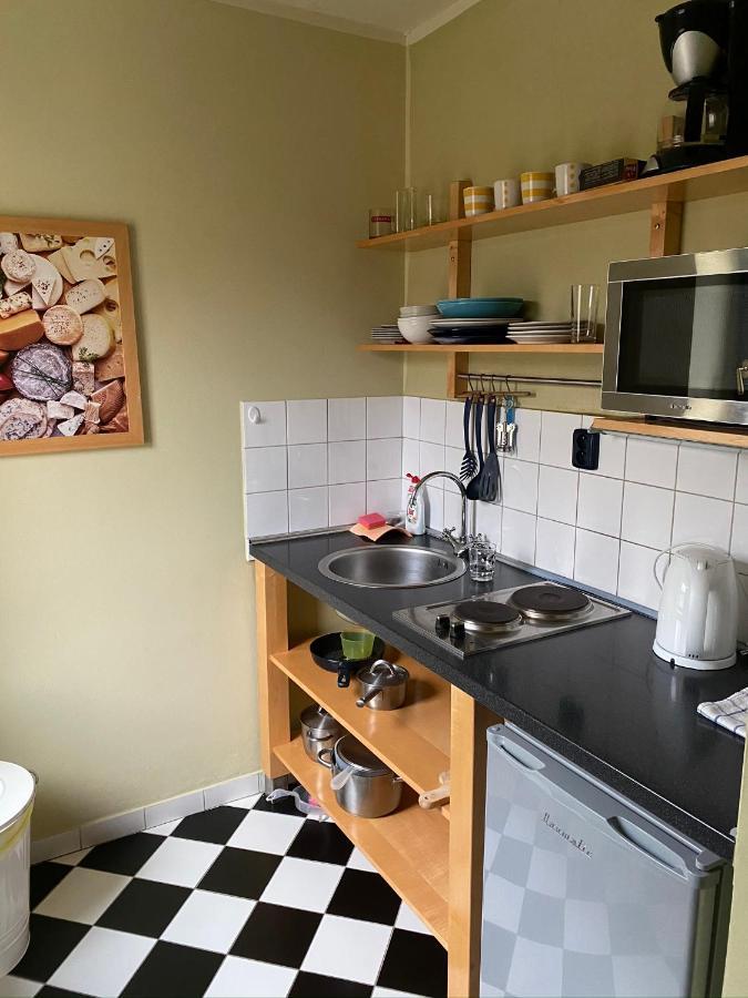 Mariánské Lázně Apartments Merlin מראה חיצוני תמונה